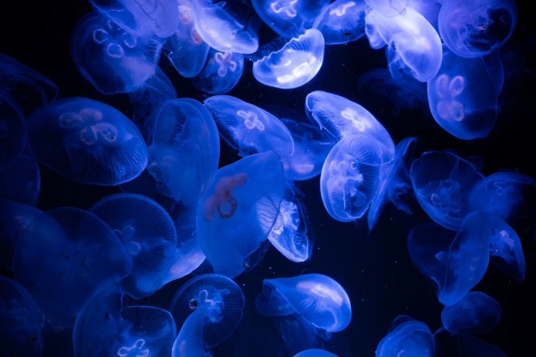 Plastic Pollution Explained (2026): Causes, Impacts, Crisis