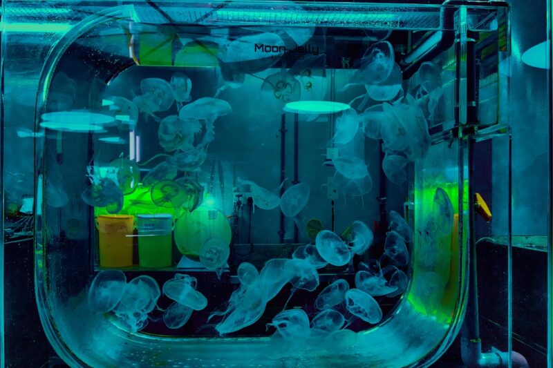 Top 10 Plastic Extrusion Machine Manufacturers Ranking 2026