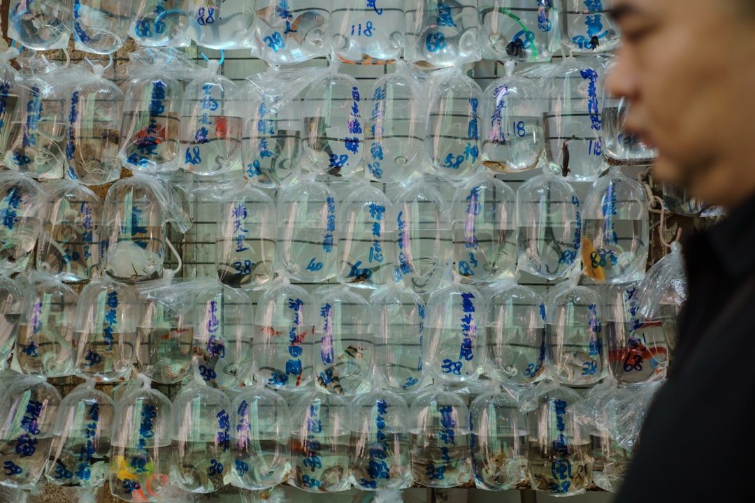 Man looking at a wall covered in small items