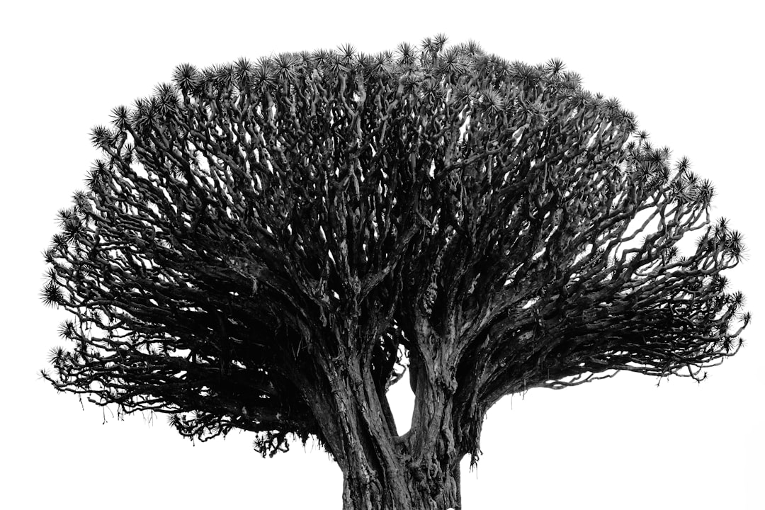 Twin Screw Root Cause Analysis for Higher Uptime in 2026