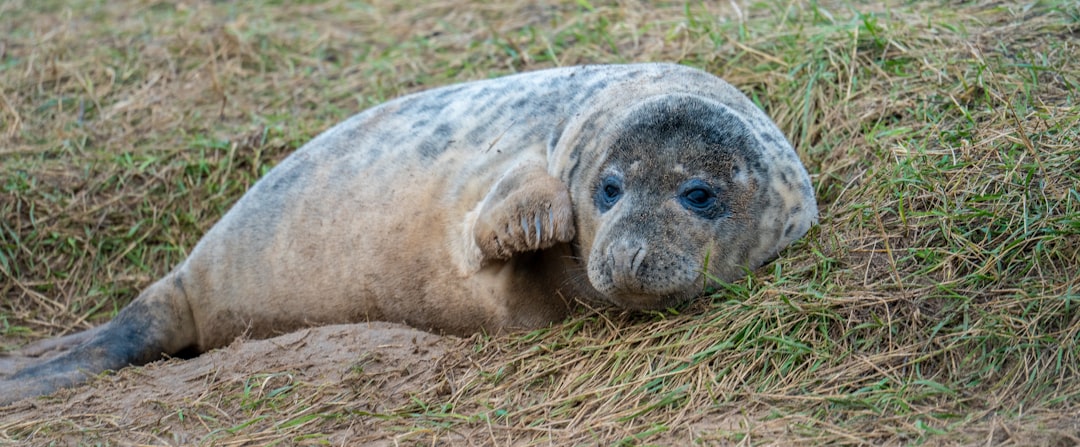 How Seals and Bearings Boost Twin Screw Pump Uptime in 2026