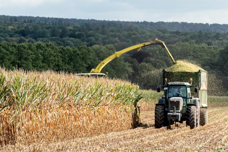 Yes, Inconsistent Feed Can Cause Twin Screw Torque Trips in 2026