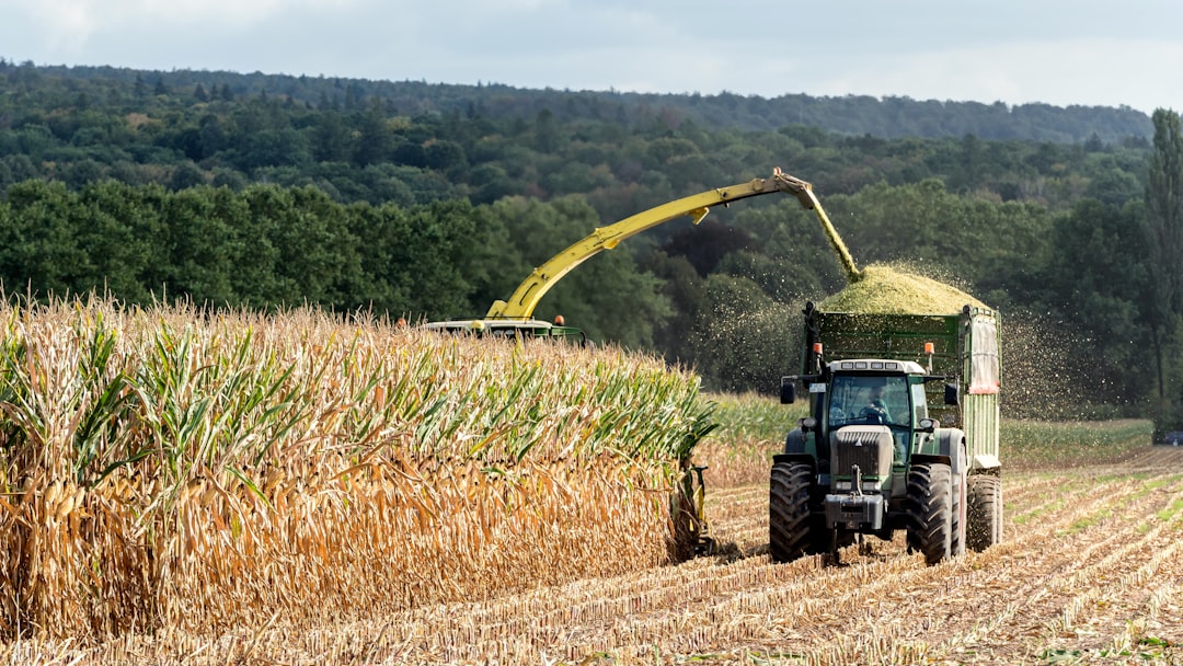 Yes, Inconsistent Feed Can Cause Twin Screw Torque Trips in 2026