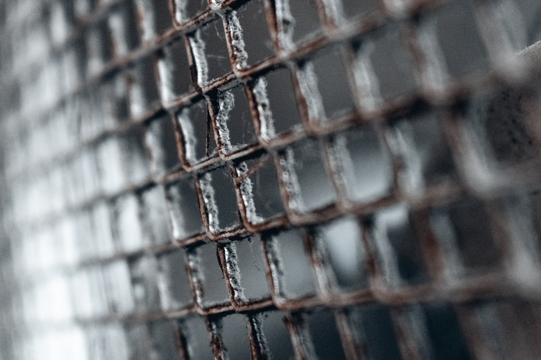 Close-up of a metallic chain link fence